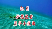 歌曲护花使者简谱_护花使者简谱(2)