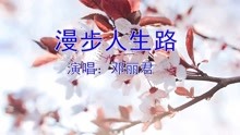 漫步人生路简谱邓丽君_邓丽君漫步人生路图