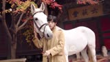 【肖战】200114「时尚芭莎」白马骑士