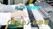 亲子音乐课堂:成人电子琴教学《菊花台》左手6个和弦一次学会音乐背景音乐视频音乐爱奇艺