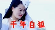 伤感女歌手一曲《千年白狐》嗓音如人心,百听不腻!音乐背景音乐视频音乐爱奇艺