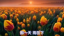 浪漫情缘曲谱_京歌七夕情缘曲谱