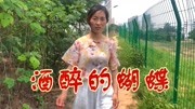 女歌手一首DJ版《酒醉的蝴蝶》,声音自带骚气,醉人心扉!音乐背景音乐视频音乐爱奇艺