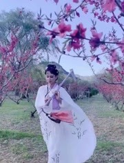 优雅矜持古风美人,模仿林黛玉演绎《葬花吟》