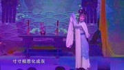 湖南花鼓戏《大闹天宫》万麒麟 陈明 丁向荣主演音乐背景音乐视频音乐爱奇艺