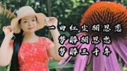 3首醉美相思情歌《一曲红尘相思恋》《梦醉相思愁》《梦醉三千年》音乐背景音乐视频音乐爱奇艺