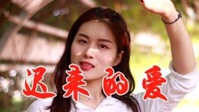 迟来的爱歌曲谱_歌曲迟来的爱图片(2)