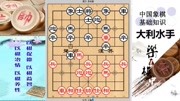 象棋特级大师王嘉良95王嘉良负李来群体育完整版视频在线观看爱奇艺