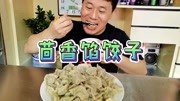 2斤猪肉1斤茴香,包猪肉茴香馅饺子,色鲜味美,一口一个,真过瘾生活完整版视频在线观看爱奇艺