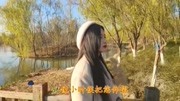 崔来宾一首《再喊一声娘》特别好听,嘹亮歌声太美了音乐背景音乐视频音乐爱奇艺