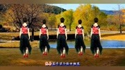 优美三步舞《秋风吹落一滴泪》歌曲好听,舞姿柔美音乐背景音乐视频音乐爱奇艺