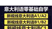 意大利语零基础 教程教学课程知识名师课堂爱奇艺