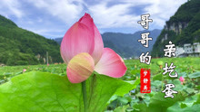 歌曲哥哥的亲圪蛋歌曲谱_腹肌小哥哥