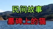 民间故事:李家村坐落在一个离市区两个小时车程的山脚下生活完整版视频在线观看爱奇艺