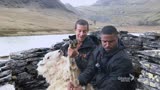 贝爷和《黑豹》主角在野外收获了一只羊，为什么选择放生？