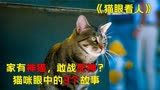 家有神猫与S神抗衡？猫咪眼中的三个故事！《猫眼看人》科幻电影