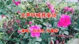 刘洪杰/红蔷薇一首《大声呼喊我爱你》超级好听，百听不厌！