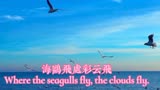 彩云伴海鸥125与君共享中国台湾电视连续剧《海鸥飞处彩云飞》主题曲中英文语音字幕