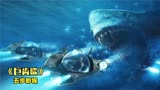巨齿鲨：200万年前的海洋霸主突然出海，人类陷入绝境