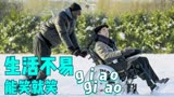 《触不可及》我不负责深情，我只负责搞笑。