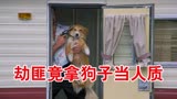 劫匪竟拿狗子当人质《灵犬宾果》