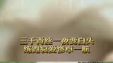 三千青丝一夜变白头练霓裳爱惨了卓一航白发魔女传19