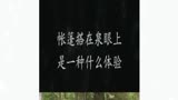 荒野生存0天可拿奖金0万没这么简单荒野独居