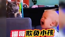 【搞笑配音】猫哥欺负小孩，这是要成精啊，看完我笑了1分54秒...
