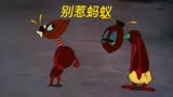 在外野营别惹蚂蚁