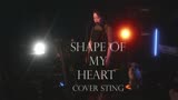 Shape Of My Heart cover Sting 这个杀手不太冷