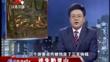 传奇：小伙从悬崖摔下，本以为已经死亡，谁知被一群猴子救一命