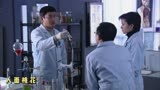 犯罪剧《案发现场》第一部  人面桃花