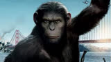 《猩球崛起》超大型的动作捕捉场面，满满的“科技与狠活”。