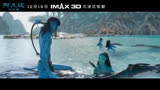 《阿凡达：水之道》IMAX版预告
