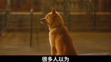 《忠犬八公》