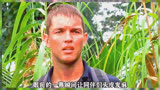 科考队丛林探险，遭遇巨蟒袭击 狂蟒之灾2 影视解说 一剪到底影