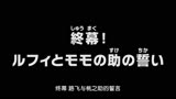 海贼王yyds