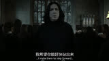 其实斯内普一直在演戏他是好人在帮助哈利·波特