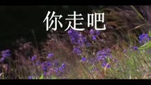 2014最新伤感歌曲网络歌曲你走吧周艳泓