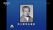 原中宣部部长邓力群因病逝世 享年100岁片花完整版视频在线观看爱奇艺