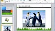 PPT 2010 素材 模板 视频教程 快速去除图片的背景完整版视频在线观看爱奇艺