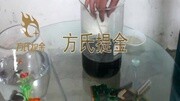 无氰脱金粉1生活完整版视频在线观看爱奇艺