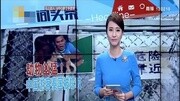 女游客参加蛇园表演 吻蟒蛇被咬血流满面资讯完整版视频在线观看爱奇艺