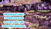 超哥精选01 “销魂嫩模” 肆无忌惮挑逗摄像师搞笑完整版视频在线观看爱奇艺