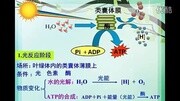 张丽娟:高中生物《光合作用的过程》原创完整版视频在线观看爱奇艺