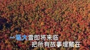 张静吉祥的马鞭MTV音乐完整版视频在线观看爱奇艺