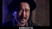 王保长新篇 第一部 14电视剧完整版视频在线观看爱奇艺