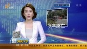 [早安山东]济南商河:教练车突发车祸 一死三伤片花完整版视频在线观看爱奇艺