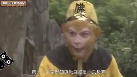 帕塔利洛西游记