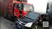 爱狗人士强拦运狗车 交警回应运狗车高速上被逼停引拥堵片花完整版视频在线观看爱奇艺